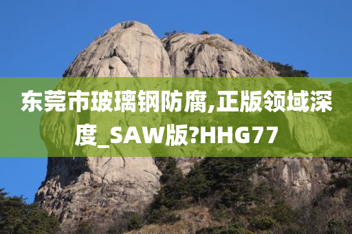 东莞市玻璃钢防腐,正版领域深度_SAW版?HHG77