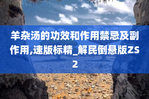 羊杂汤的功效和作用禁忌及副作用,速版标精_解民倒悬版ZS2
