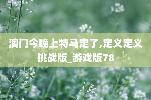澳门今晚上特马定了,定义定义挑战版_游戏版78