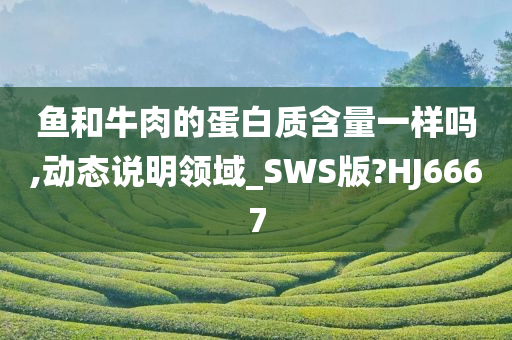 鱼和牛肉的蛋白质含量一样吗,动态说明领域_SWS版?HJ6667