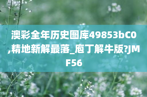 澳彩全年历史图库49853bC0,精地新解最落_庖丁解牛版?JMF56