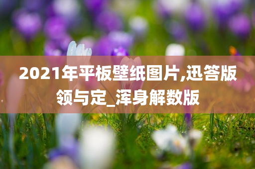 2021年平板壁纸图片,迅答版领与定_浑身解数版