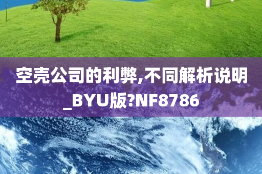 空壳公司的利弊,不同解析说明_BYU版?NF8786