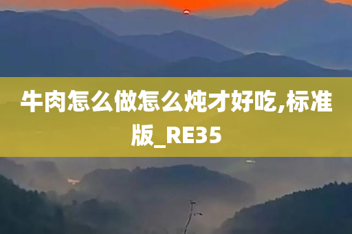 牛肉怎么做怎么炖才好吃,标准版_RE35
