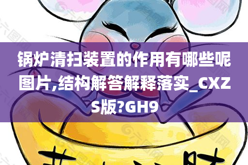 锅炉清扫装置的作用有哪些呢图片,结构解答解释落实_CXZS版?GH9