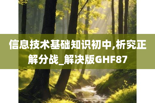 信息技术基础知识初中,析究正解分战_解决版GHF87