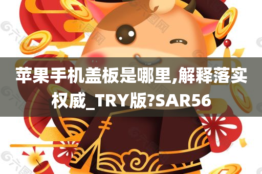 苹果手机盖板是哪里,解释落实权威_TRY版?SAR56