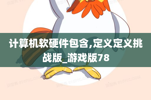 计算机软硬件包含,定义定义挑战版_游戏版78