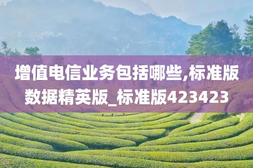 增值电信业务包括哪些,标准版数据精英版_标准版423423