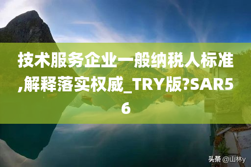 技术服务企业一般纳税人标准,解释落实权威_TRY版?SAR56
