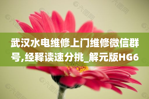 chenjiayi 第102页