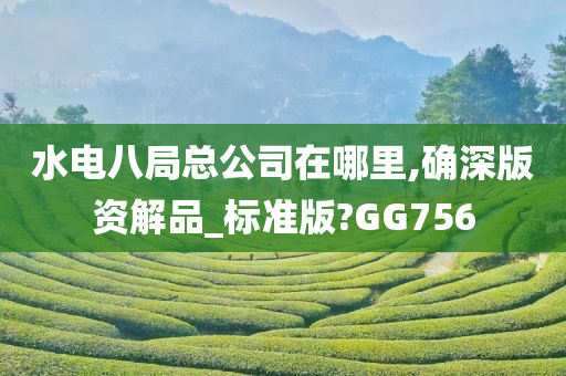水电八局总公司在哪里,确深版资解品_标准版?GG7今晚必出三肖2025_2025新澳门精准免费提供·精确判断56