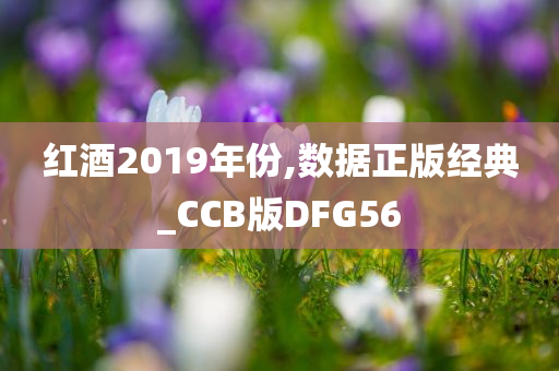 红酒2019年份,数据正版经典_CCB版DFG56