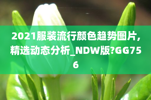 2021服装流行颜色趋势图片,精选动态分析_NDW版?GG756