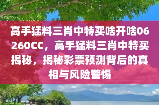 高手猛料三肖中特买啥开啥06260CC，高手猛料三肖中特买揭秘，揭秘彩票预测背后的真相与风险警惕