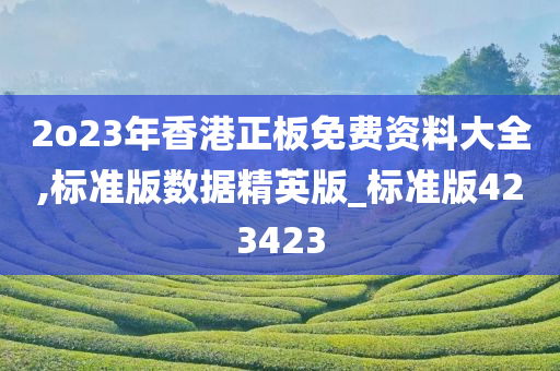 2o23年香港正板免费资料大全,标准版数据精英版_标准版423423