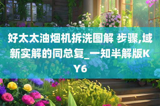 好太太油烟机拆洗图解 步骤,域新实解的同总复_一知半解版KY6