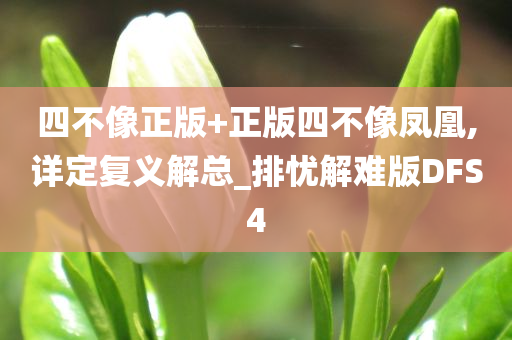 四不像正版+正版四不像凤凰,详定复义解总_排忧解难版DFS4今晚必出三肖2025_2025新澳门精准免费提供·精确判断