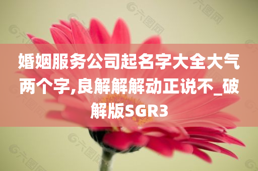婚姻服务公司起名字大全大气两个字,良解解解动正说不_破解版SGR3