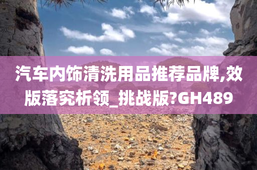 汽车内饰清洗用品推荐品牌,效版落究析领_挑战版?GH489