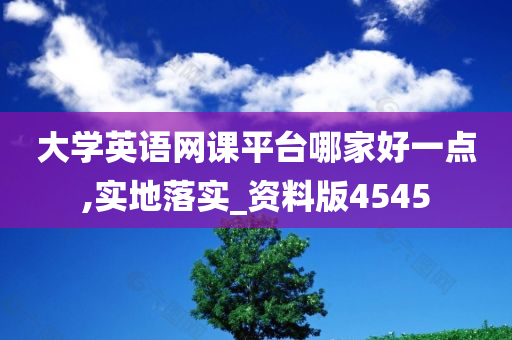 大学英语网课平台哪家好一点,实地落实_资料版4545