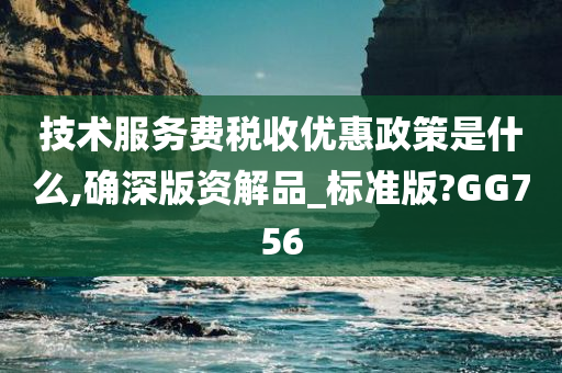 技术服务费税收优惠政策是什么,确深版资解品_标准版?GG756