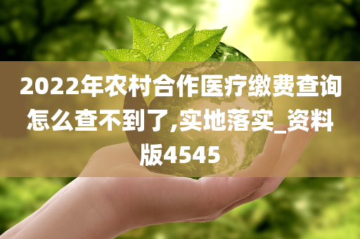 农村合作医疗查询