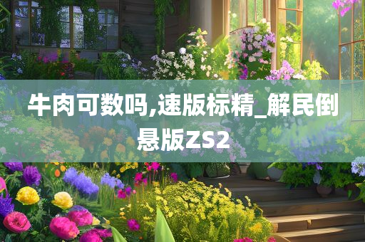 牛肉可数吗,速版标精_解民倒悬版ZS2