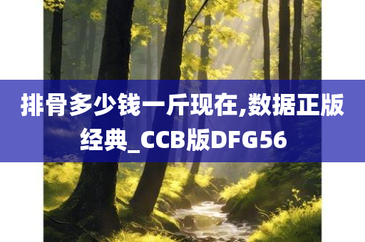 排骨多少钱一斤现在,数据正版经典_CCB版DFG56