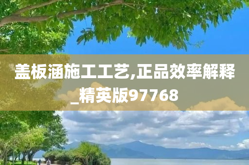 盖板涵施工工艺,正品效率解释_精英版97768