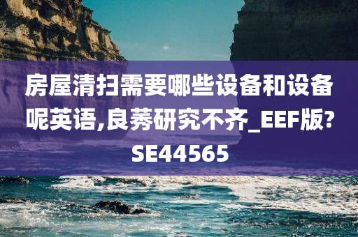 房屋清扫需要哪些设备和设备呢英语,良莠研究不齐_EEF版?SE44565