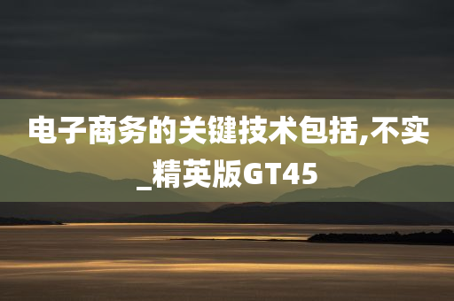 电子商务的关键技术包括,不实_精英版GT45