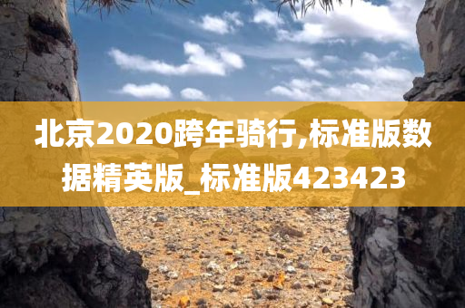 北京2020跨年骑行,标准版数据精英版_标准版423423