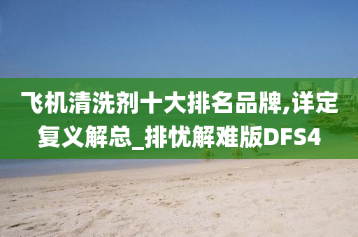飞机清洗剂十大排名品牌,详定复义解总_排忧解难版DFS4