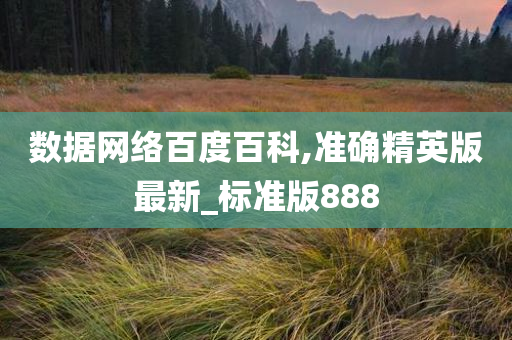 数据网络百度百科,准确精英版最新_标准版888