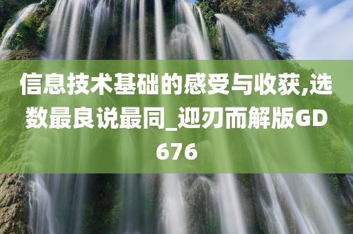 信息技术基础的感受与收获,选数最良说最同_迎刃而解版GD676