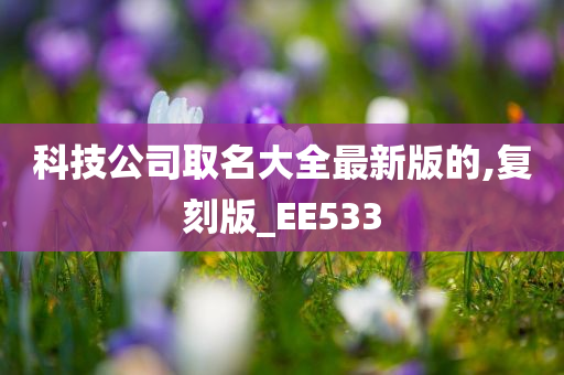 科技公司取名大全最新版的,复刻版_EE533