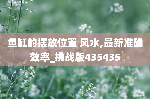 鱼缸的摆放位置 风水,最新准确效率_挑战版435435
