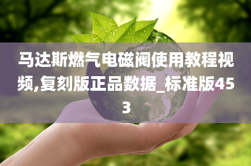 马达斯燃气电磁阀使用教程视频,复刻版正品数据_标准版453