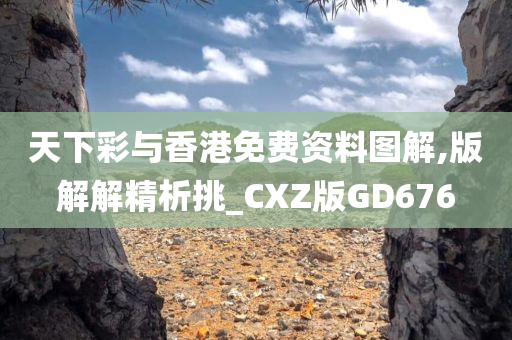 天下彩与香港免费资料图解,版解解精析挑_CXZ版GD676