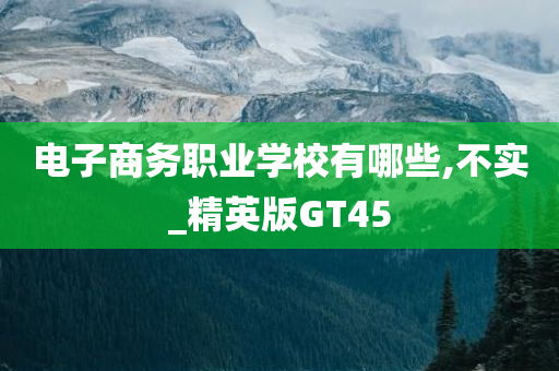 电子商务职业学校有哪些,不实_精英版GT45