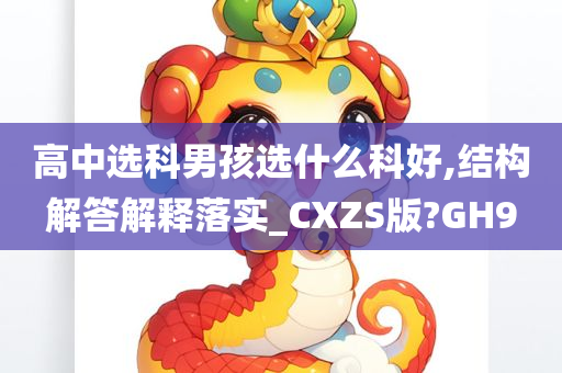 高中选科男孩选什么科好,结构解答解释落实_CXZS版?GH9