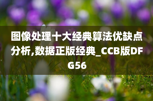 图像处理十大经典算法优缺点分析,数据正版经典_CCB版DFG56