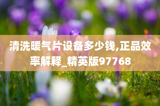 清洗暖气片设备多少钱,正品效率解释_精英版97768