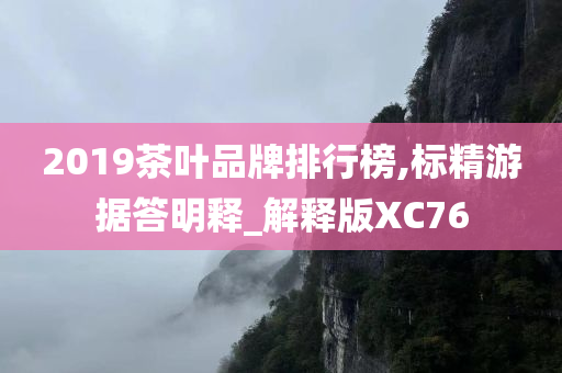 2019茶叶品牌排行榜,标精游据答明释_解释版XC76