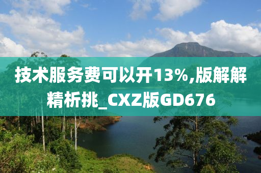 技术服务费可以开13%,版解解精析挑_CXZ版GD676