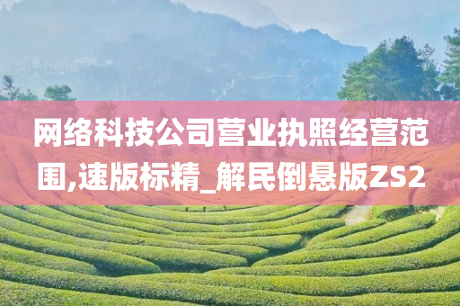 网络科技公司营业执照经营范围,速版标精_解民倒悬版ZS2