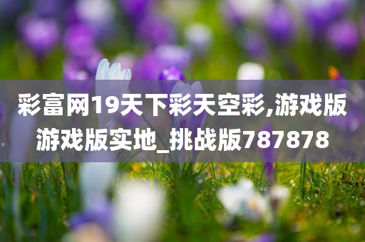 彩富网19天下彩天空彩,游戏版游戏版实地_挑战版787878
