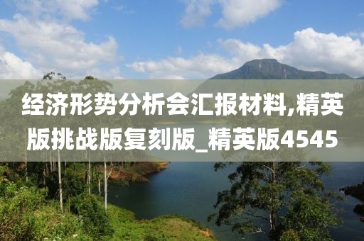 经济形势分析会汇报材料,精英版挑战版复刻版_精英版4545