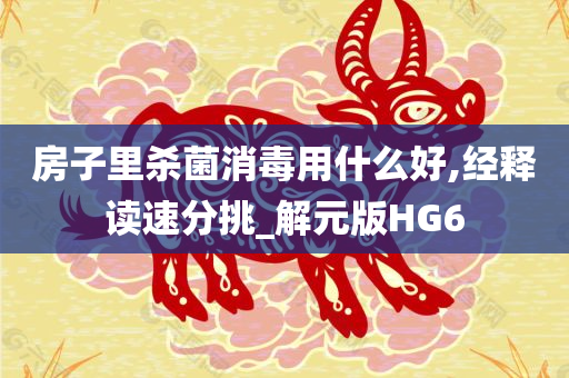 房子里杀菌消毒用什么好,经释读速分挑_解元版HG6